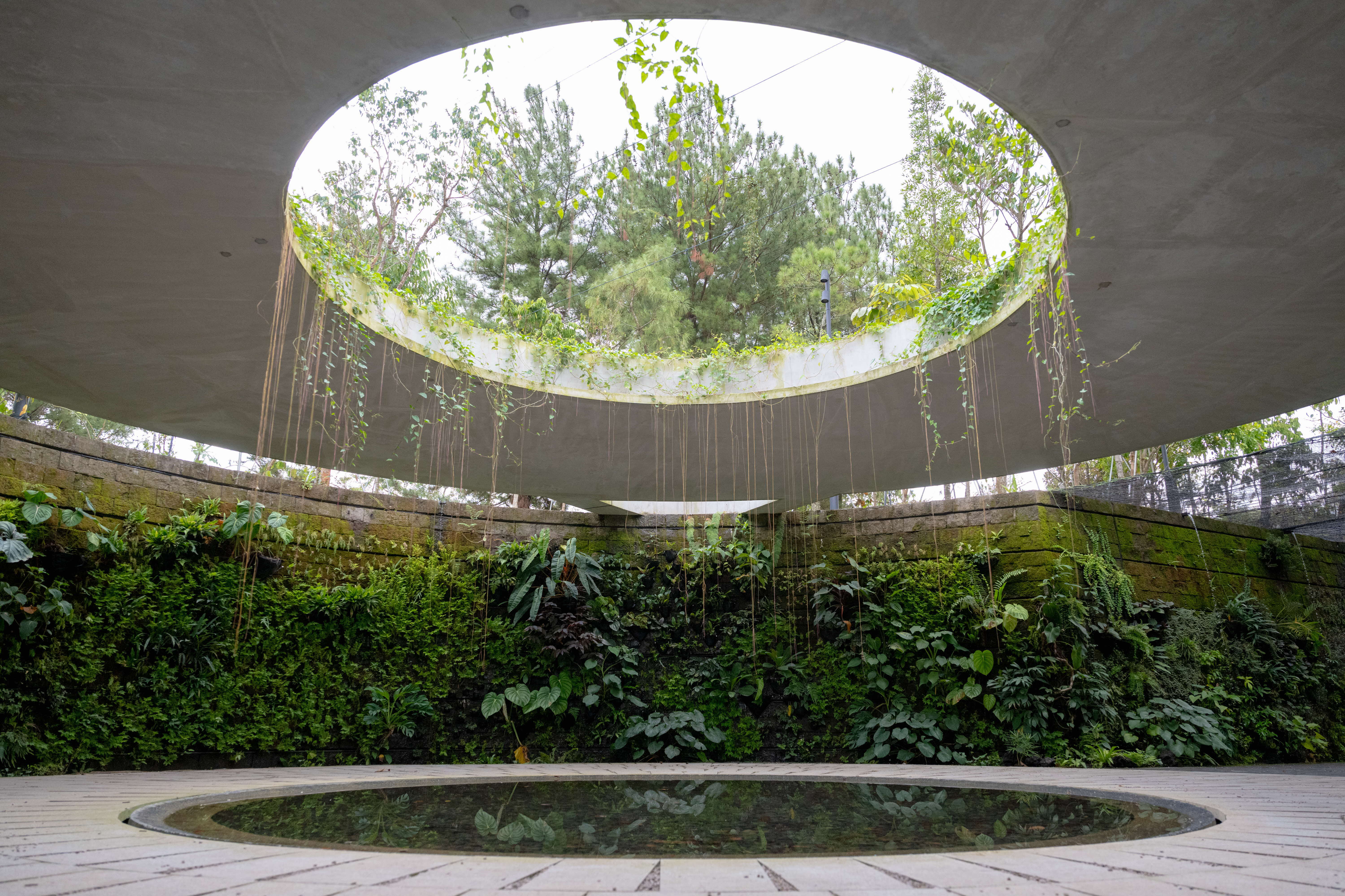 Sunken Garden